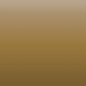 Lead bronze CuPb15Sn